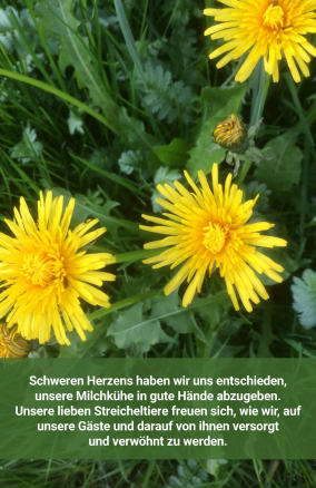 Herzlich willkommen im schönen Nesselwang